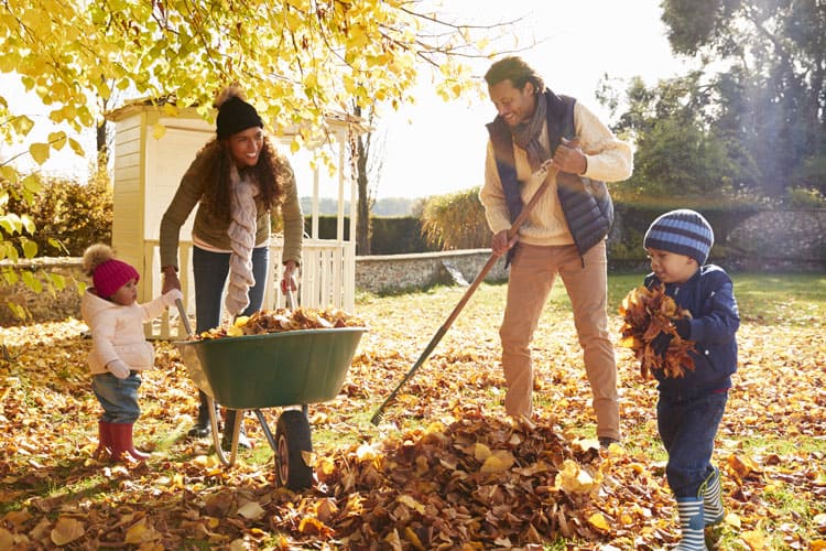 Family Raking Leaves