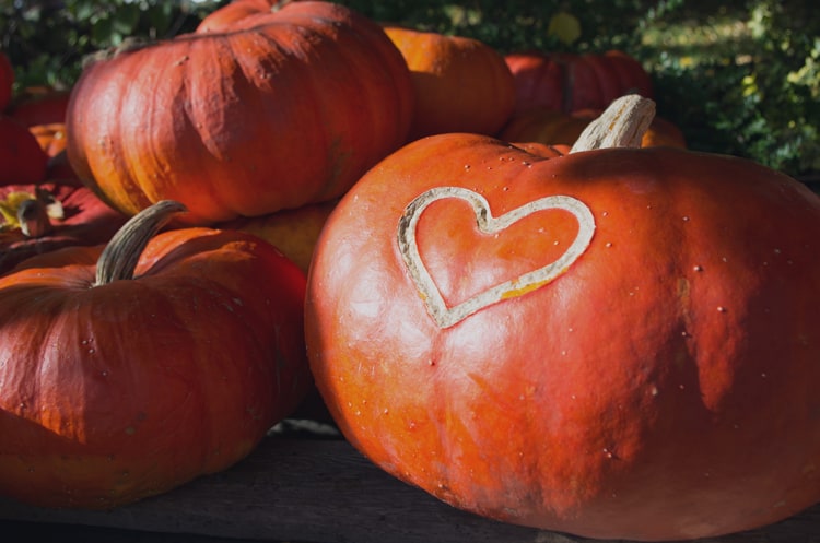 kid friendly thanksgiving