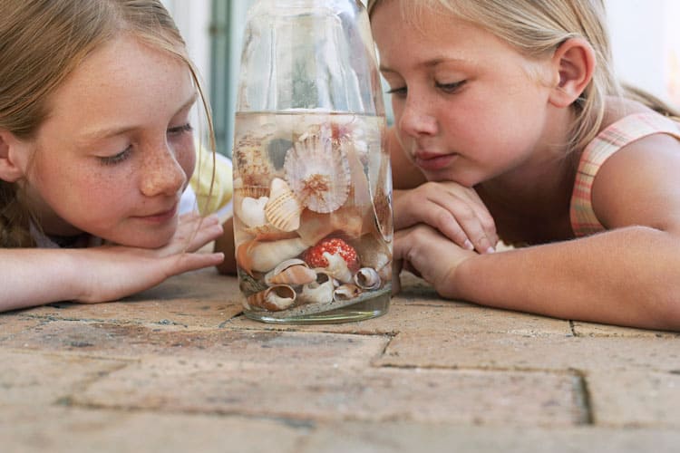 girls looking at shells in a jar