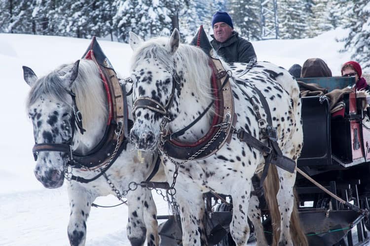 {UPDATED} Get Outside With These Family-Friendly Sleigh Rides