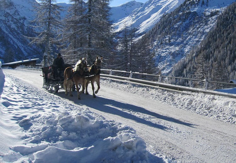 {UPDATED} Get Outside With These Family-Friendly Sleigh Rides