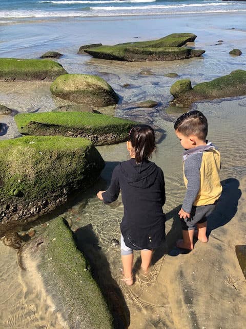 San Diego Tidepools