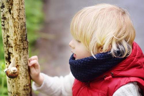 Staycation Ideas for Babies and Toddlers 4 boy discovering a snail on a staycation