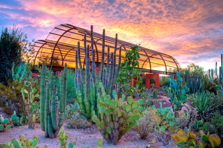 7 Most Underrated Family Vacation Spots 4 desert botanical gardens, phoenix arizona