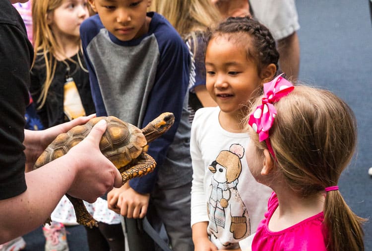 Your Family-Friendly Baltimore Travel Guide! 3 Baltimore National Aquarium