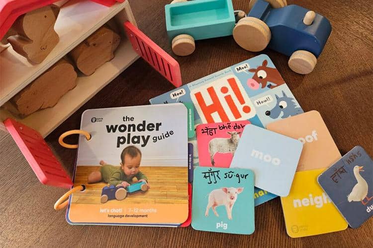 KiwiCo Pandra Crate