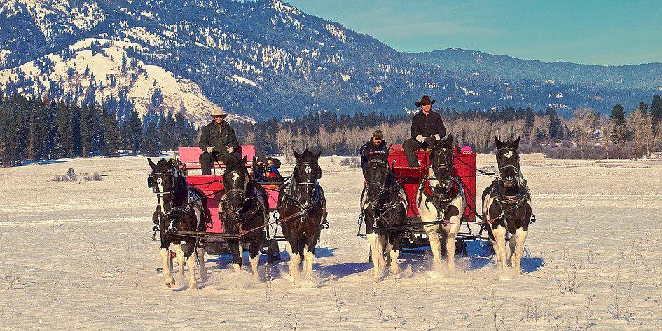 {UPDATED} Get Outside With These Family-Friendly Sleigh Rides