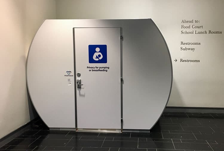 Visiting The American Museum Of Natural History With Kids 13 Nursing Or Breastfeeding Pod