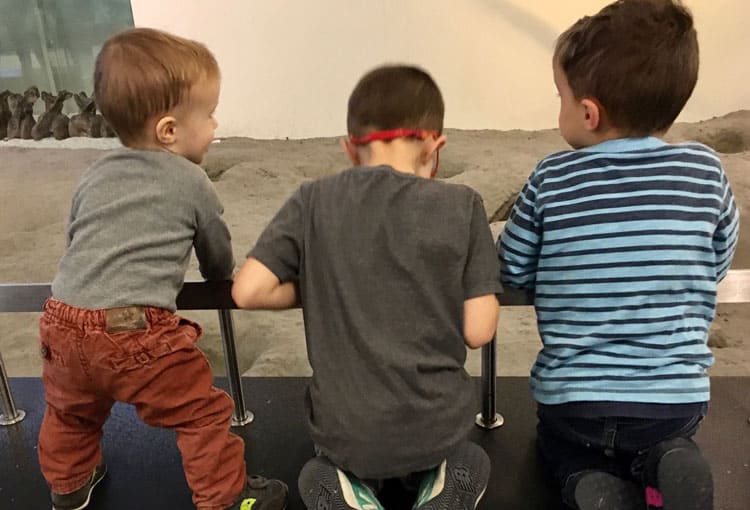 Visiting The American Museum Of Natural History With Kids 2 Happy Children
