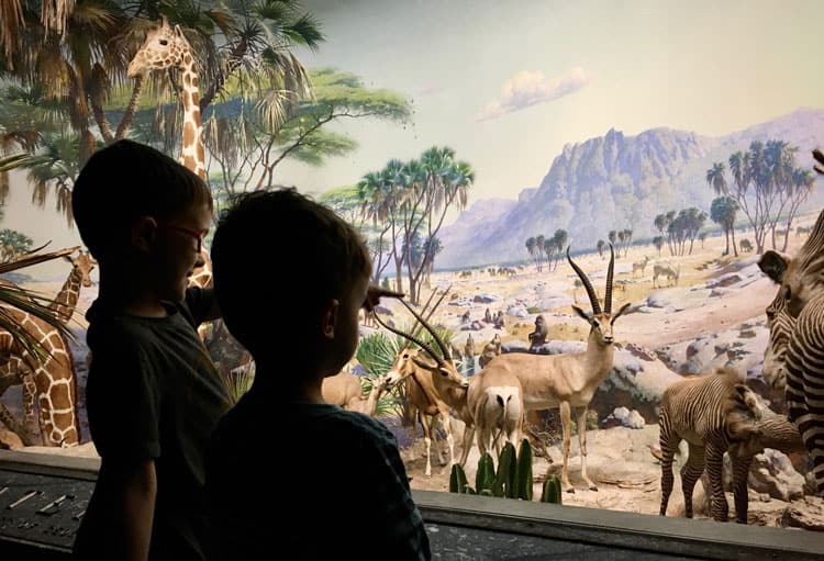 Visiting The American Museum Of Natural History With Kids 3 Children Looking At Museum Exhibit