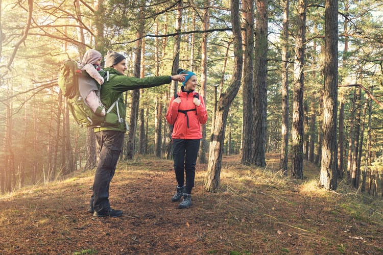 family walking in the forest