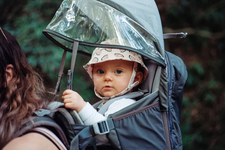 baby in a hiking carrier