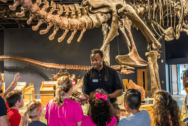 Visiting Orlando: Orlando Travel Guide For Families 11 Visiting Orlando: Orlando Travel Guide For Families