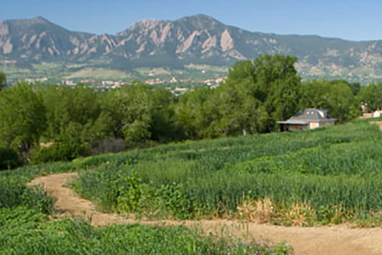 Valmont bike park in boulder colorado