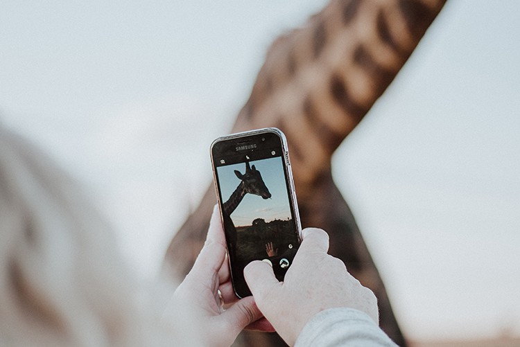 Visiting Orlando: Orlando Travel Guide For Families 3 Visiting Orlando: Orlando Travel Guide For Families