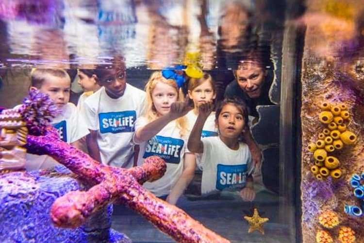 Visiting Orlando: Orlando Travel Guide For Families 9 Visiting Orlando: Orlando Travel Guide For Families