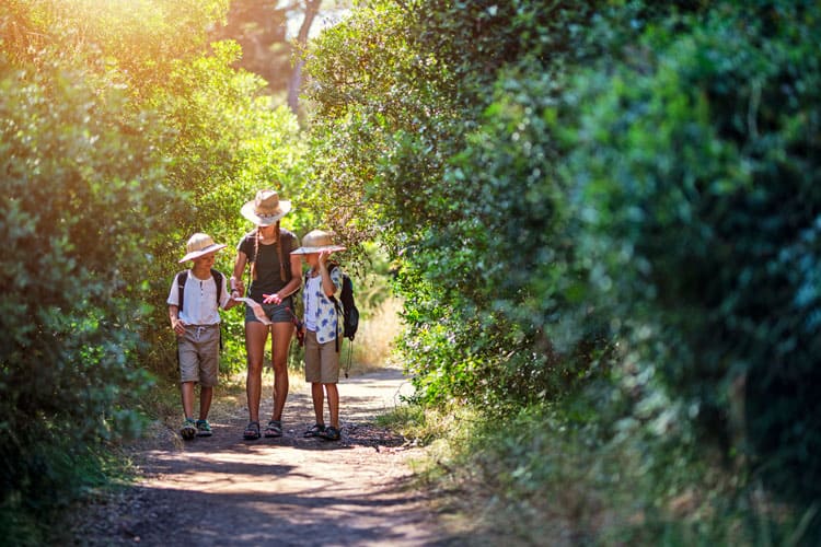 {UPDATED} 11 Unusual Things to Do in Maui: A Family-Friendly Guide
