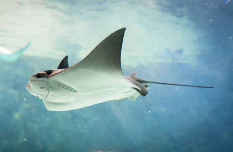 Hidden Gems Of Dallas: Best Places For Families 13 Children'S Museum In Dallas