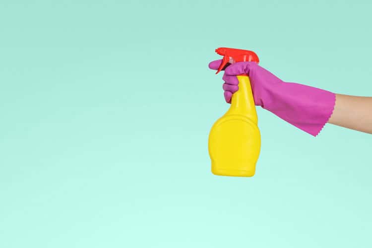 BabyQuip Cleaning Services: Interview with CEO, Fran Maier