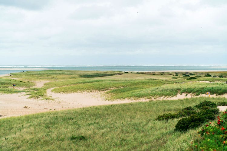 cape cod seashore