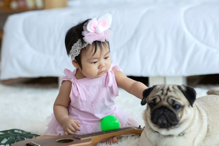 baby with pet dog