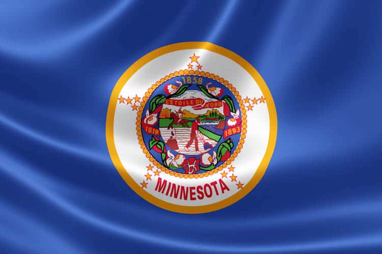 Minnesota State Flag