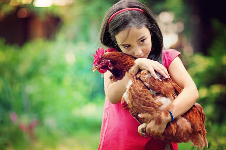 10 Best Pets For Small Children 11 Girl Hugging Her Pet Chicken