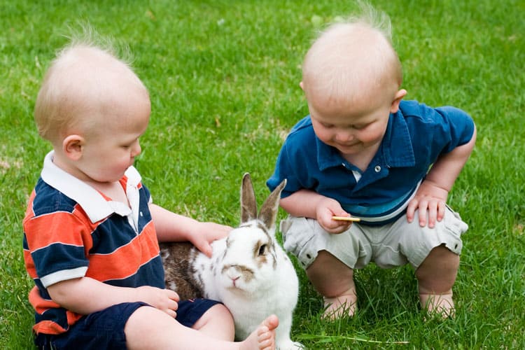 10 Best Pets For Small Children 8 Twins Playing With Pet Rabbit