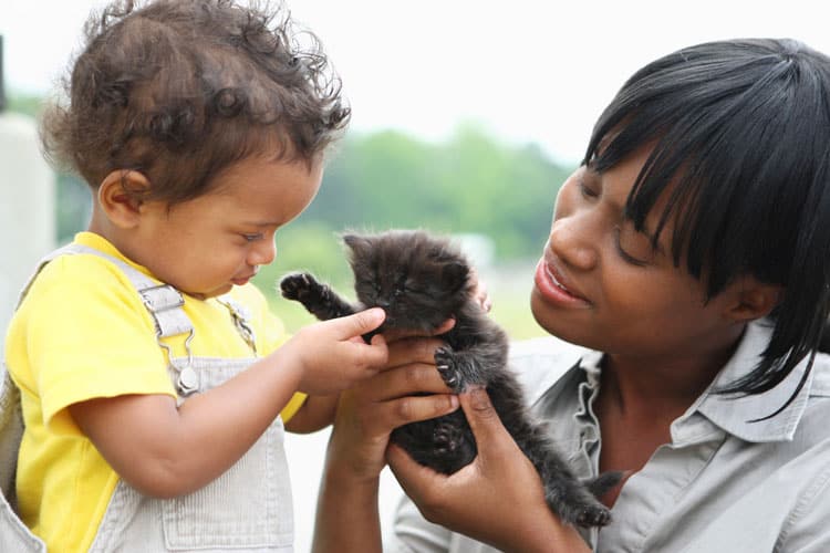 10 Best Pets For Small Children 3 Mom Helping Her Small Child Handle His Kitten
