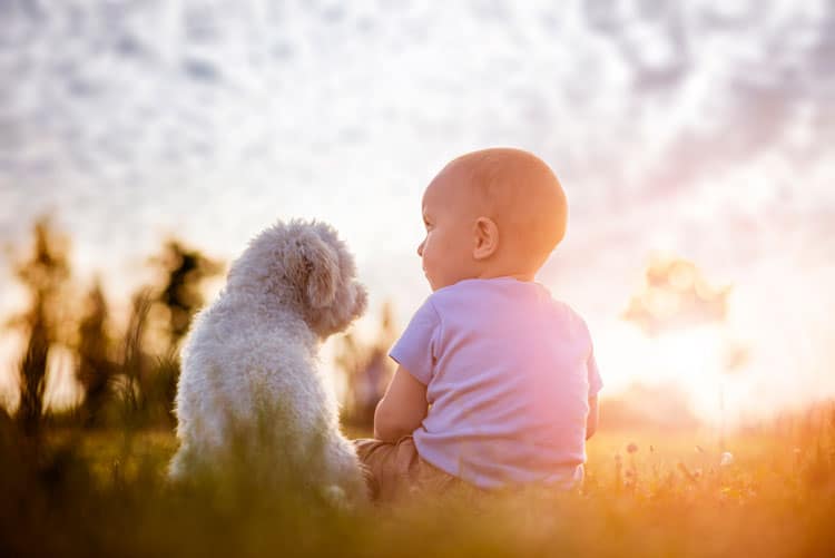 10 Best Pets For Small Children 12 10 Best Pets For Small Children