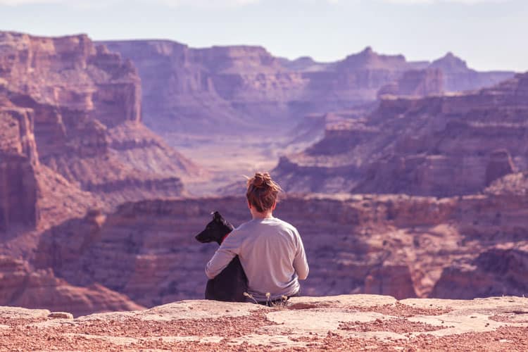 9 Pet Friendly Resorts You Should Know About