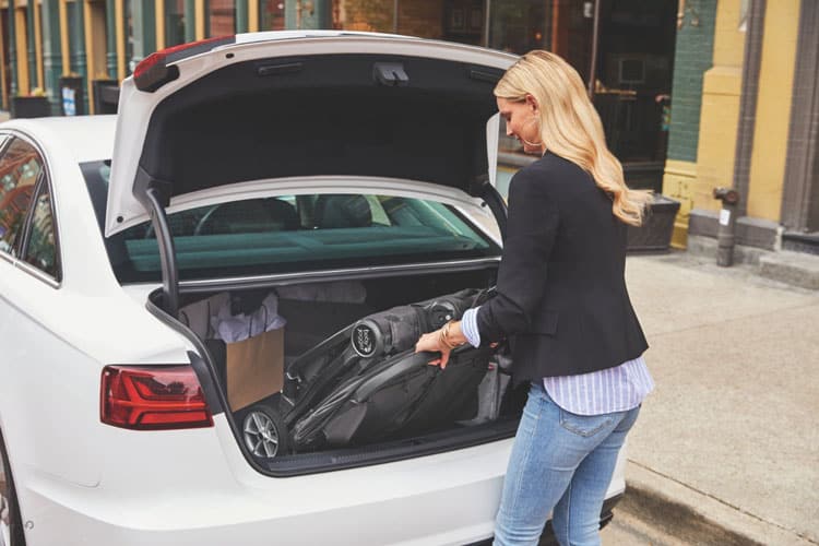 Product Info: Baby Jogger Double Stroller Options 2 City Tour 2 Double Stroller