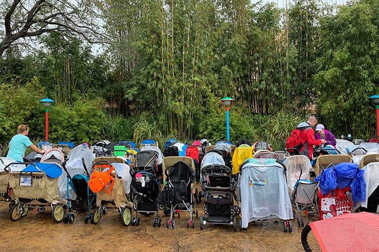 bring your own stroller to animal kingdom