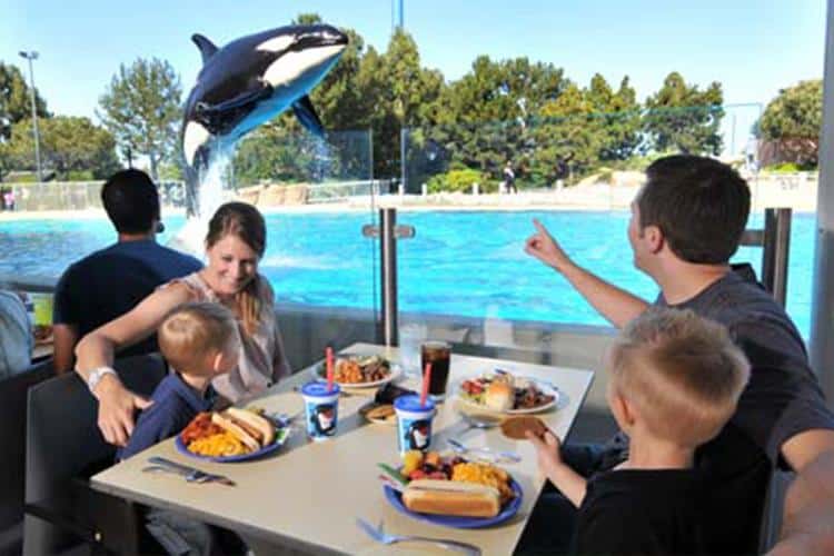 Dining Options for Babies and Toddlers