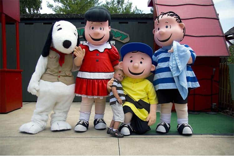 Live Entertainment: Shows and Parades