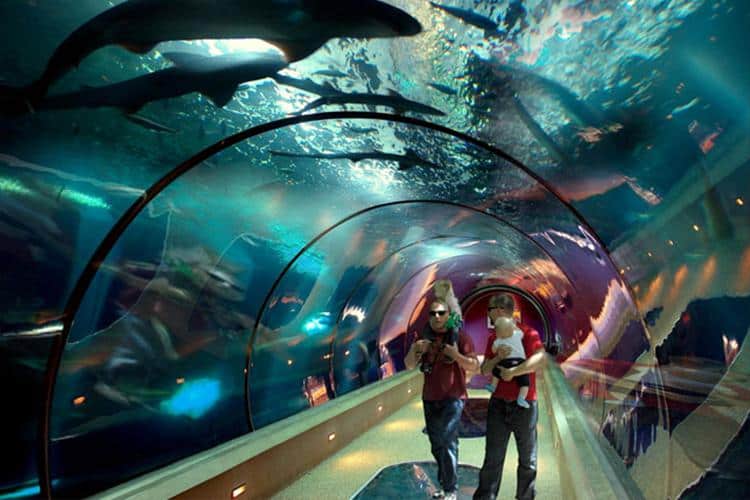 Indoor Fun On The Coast