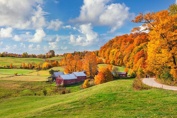 Vermont