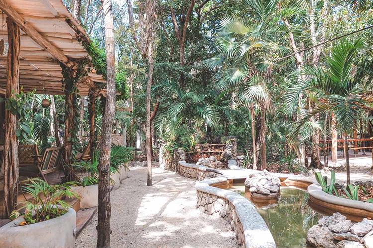 Principales Retiros Familiares de Bienestar en Tulum