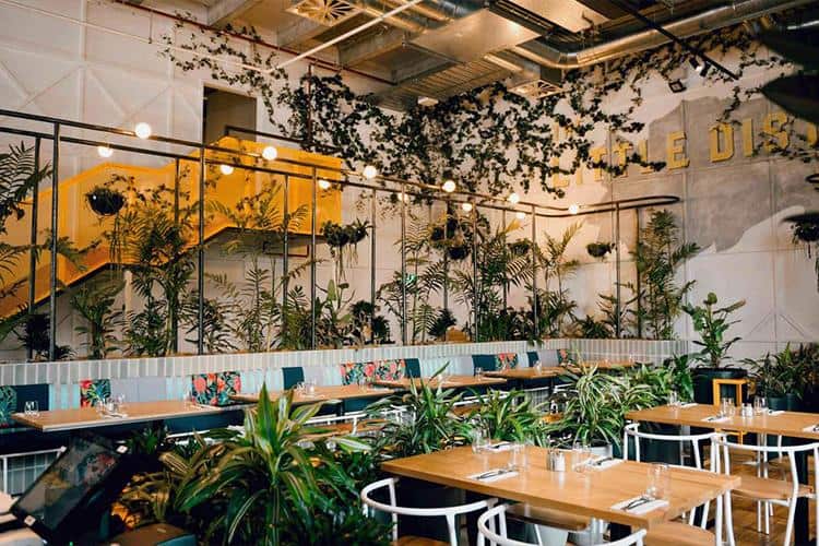 Kid-Friendly Restaurants And Eateries