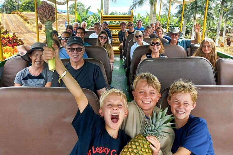 Private And Group Tours In Auckland