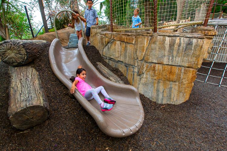 Children's Zoo and Various Play Areas