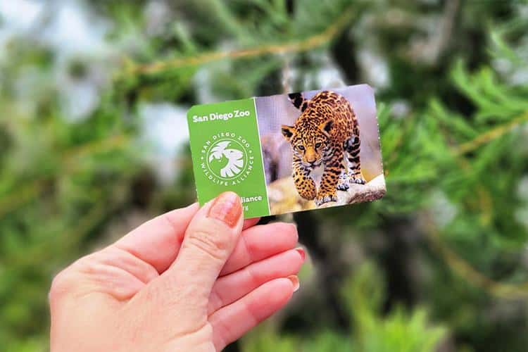 Where to Find Discount San Diego Zoo Tickets