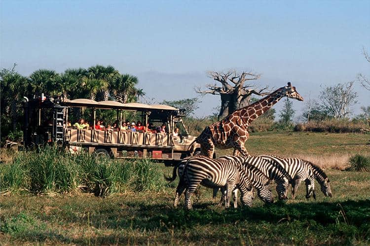 Kilimanjaro Safaris: Wildlife Viewing for All Ages