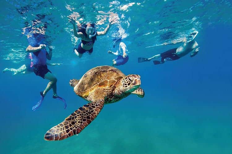 Maui, Hawaii: An American Tropical Haven