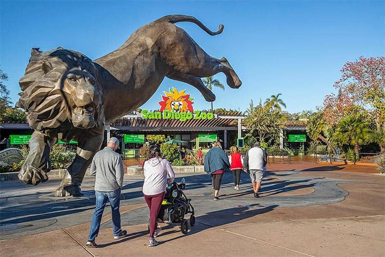 Mejor Momento para Visitar el Zoológico de San Diego con Niños