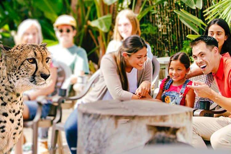 Encuentros con Animales