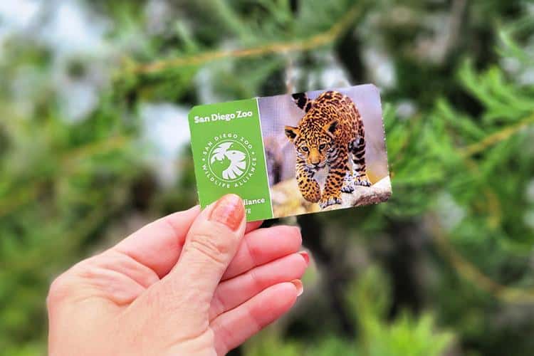 ¿Dónde Encontrar Descuentos en Boletos para el Zoológico de San Diego?