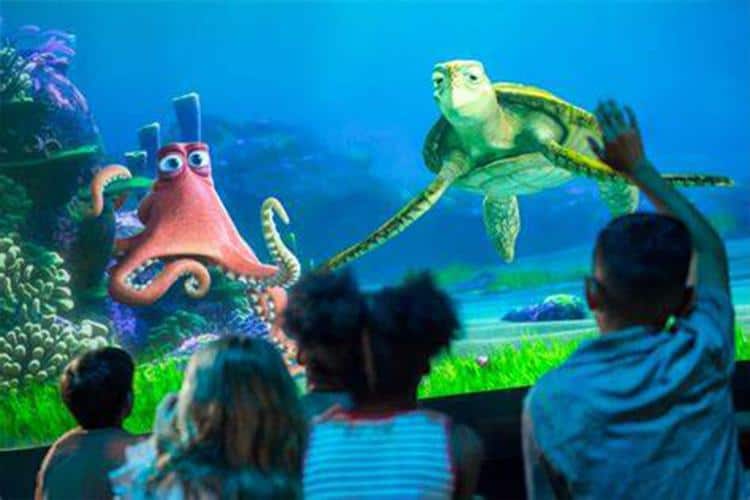 Los Mares Con Nemo Y Sus Amigos: Un Viaje Oceánico