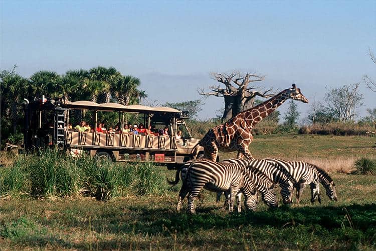 Kilimanjaro Safaris: Observación De Vida Silvestre Para Todas Las Edades