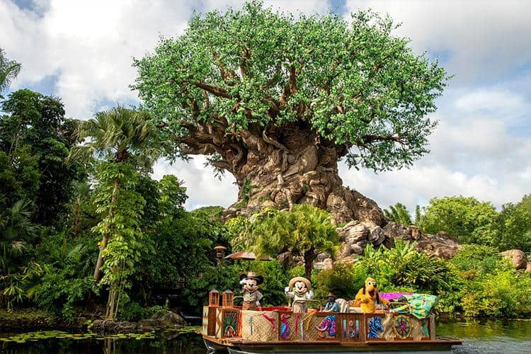 Walt Disney World Parks Comparison: A Family Perspective 5 Walt Disney World Parks Comparison: A Family Perspective
